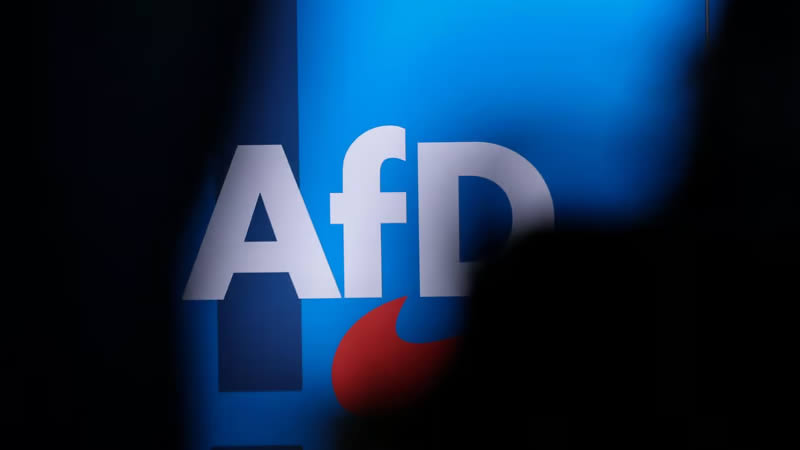 Saxony-Anhalt Afd