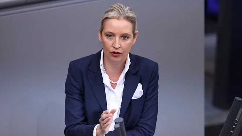 德国另类选择党（AfD）联邦主席艾丽斯·魏德尔