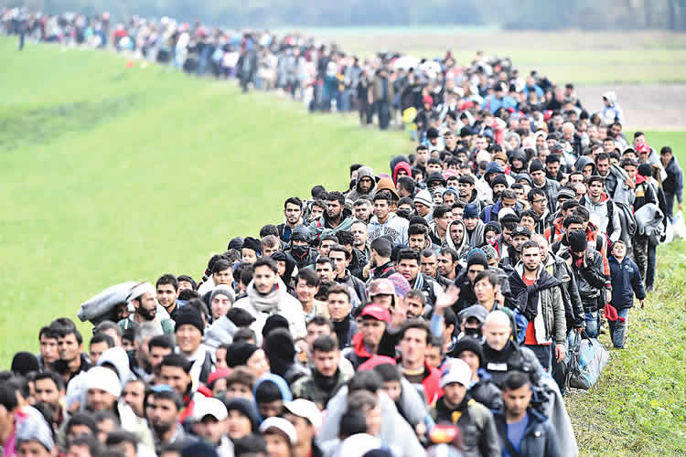 德国难民